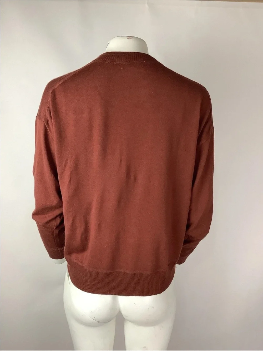 J Crew Sz S 100% Merino Wool Oversized Crewneck Pullover Sweater Cayenne Red